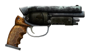 FNVThatGun.png