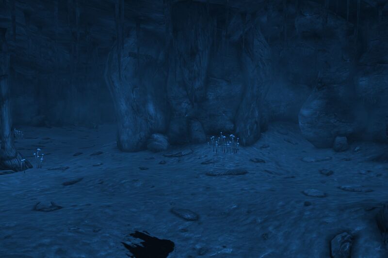 Datei:Jackarunda DarkCaveWithNightEye.jpg