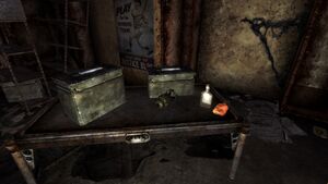 Vault 11 mini nuke.jpg