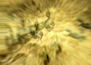 Scorpions poison effect.jpg