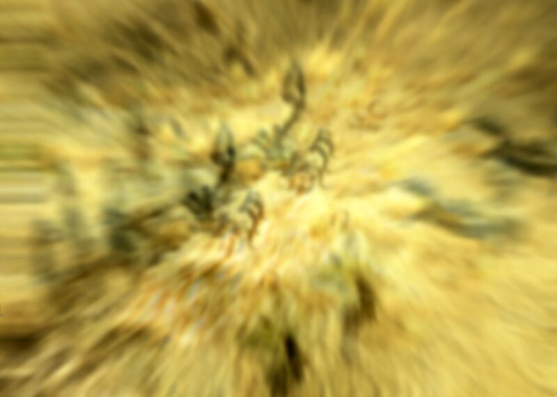 Datei:Scorpions poison effect.jpg