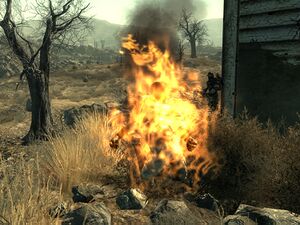 Burned wastelander.jpg