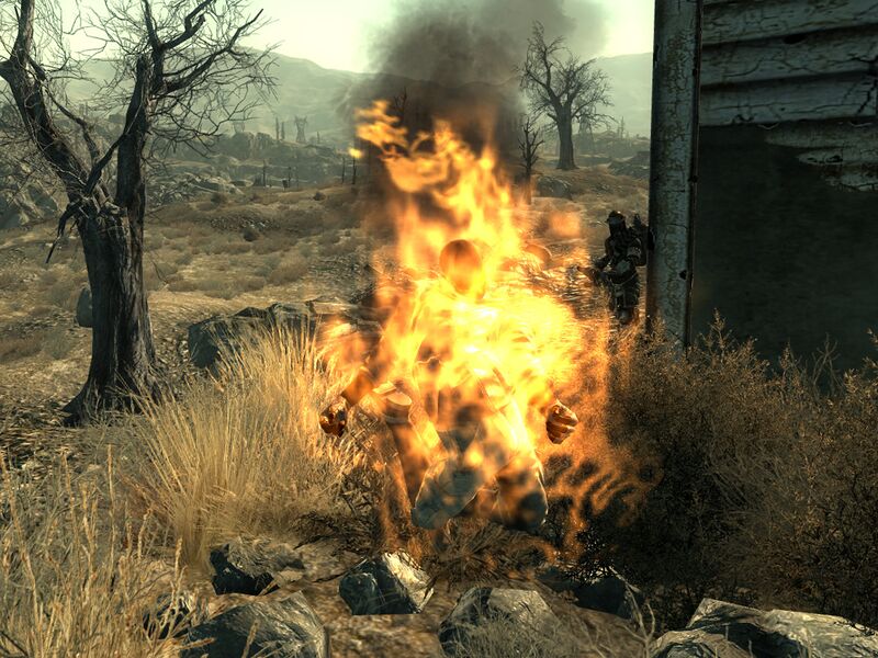 Datei:Burned wastelander.jpg