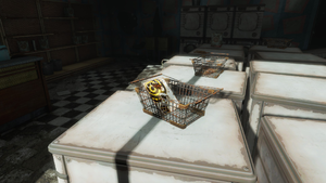 FO4 Charlestown laundry La Coiffe.png