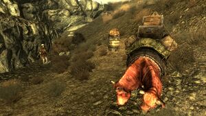 Scavenger Pack Brahmin.jpg