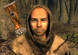 Branchtender Linden.jpg