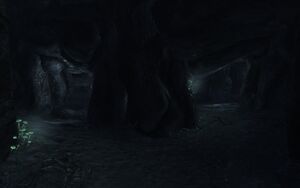 Musty caverns interior.jpg