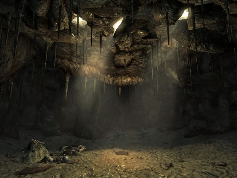 Datei:Ant mound interior.jpg