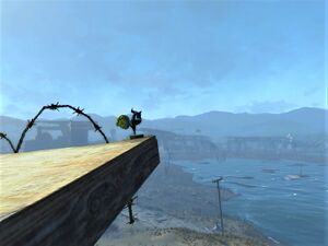 Agility boy hanging out.jpg