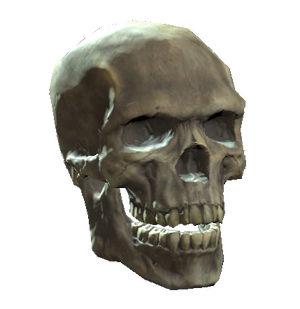 Skull.png