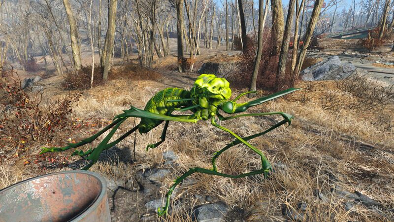 Datei:FO4 Glowing bloodbug.jpg