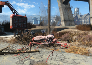 FO4 Red widow bloodbug.png