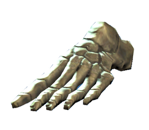 Left foot bones.png