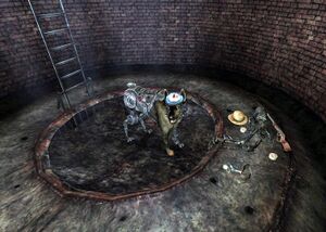 Jimmy in the well.jpg