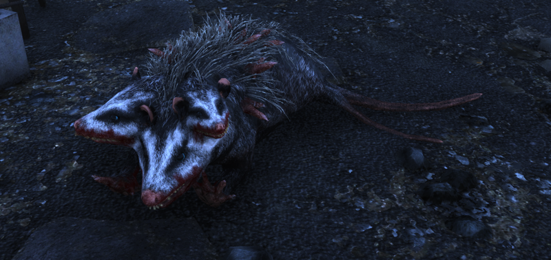 Datei:Opossum76.png