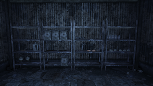 Ammoboxes charleston cave.png