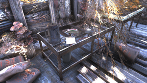 FO76 abandoned bog town (Mycology notes).png