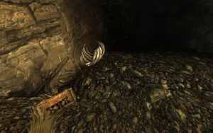 Cazador nest loot.jpg