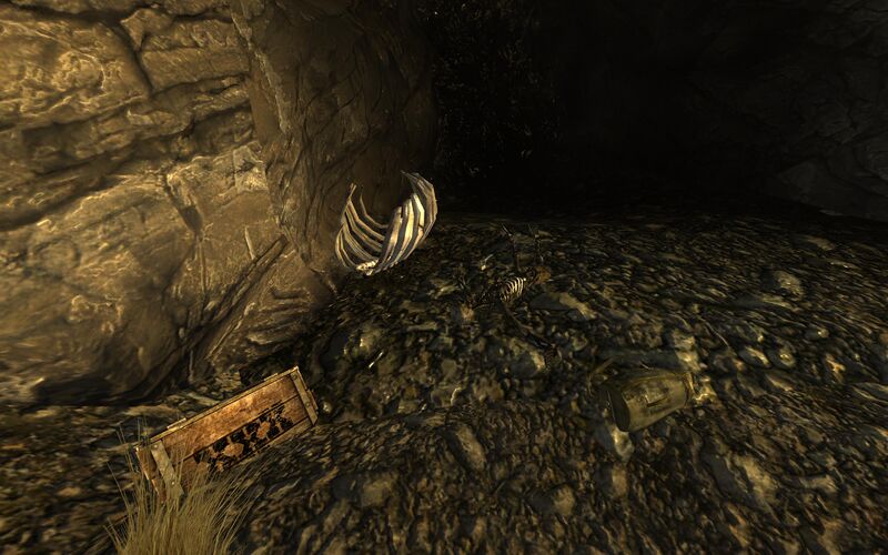 Datei:Cazador nest loot.jpg