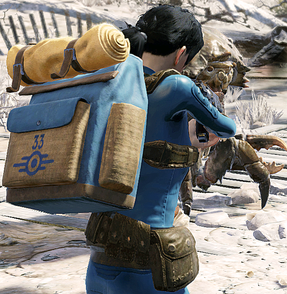 Datei:FO76 Lucy backpack.png
