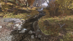 FO76 Flatwoods River 1.png