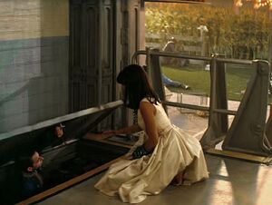 FOTV Lucy hides Norm in the Norm Hole.jpg