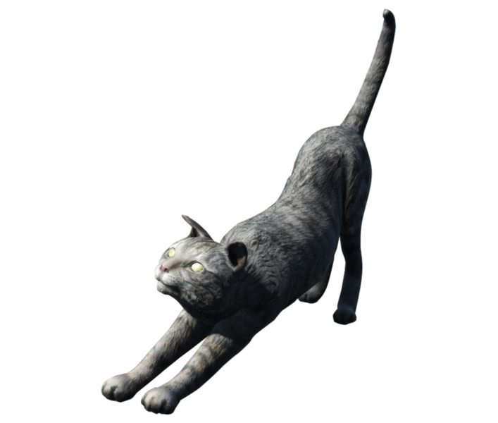 Datei:FO4 House Cat.png