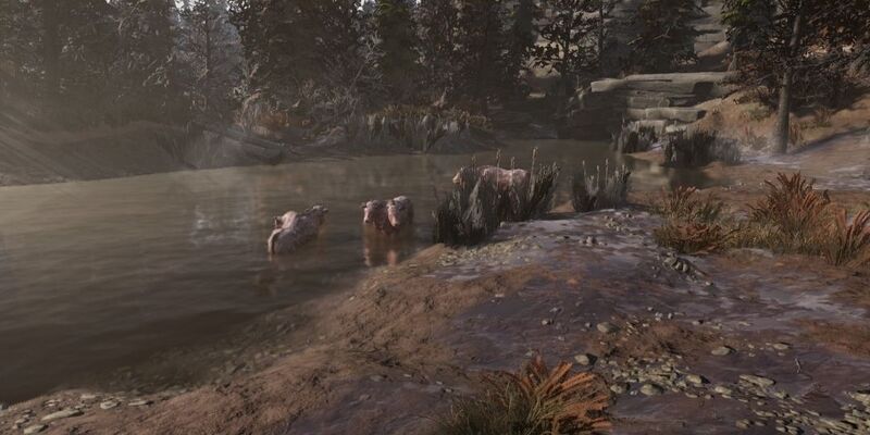 Datei:FO76 brahmin lake.jpg