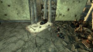 FO3 Flooded Metro Raider Camp4.jpg