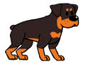 Rottweiler