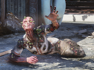 FO76 Scorched Plague.png