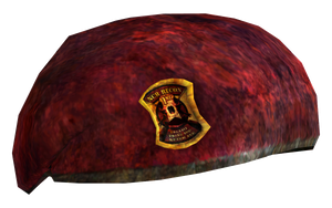 1st Recon beret.png