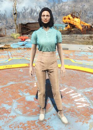 FO4 Casual outfit female.jpg