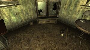 Fo3 basketball Smiths house.jpg