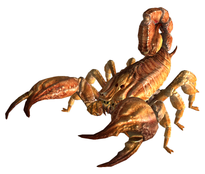 Datei:Bark scorpion FNV.png