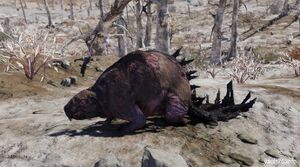 Fo76 beaver.jpg
