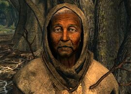 Leaf Mother Laurel.jpg