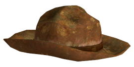 Ranger tan hat.png