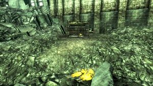 Isabella Prouds camp.jpg