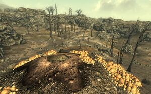 Shalebridge Hill entrance.jpg