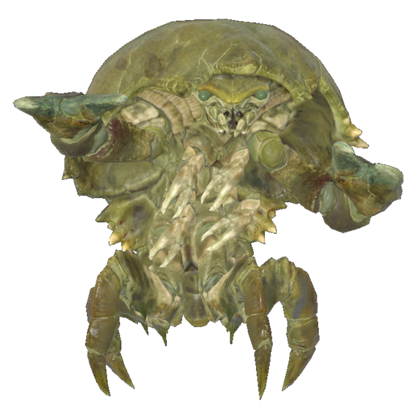 Datei:FO76 creature mirelurk softshell.webp