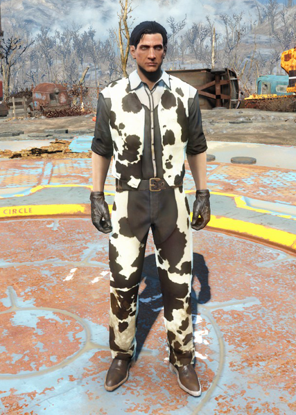 Datei:Fo4CowhideWesternOutfit.png