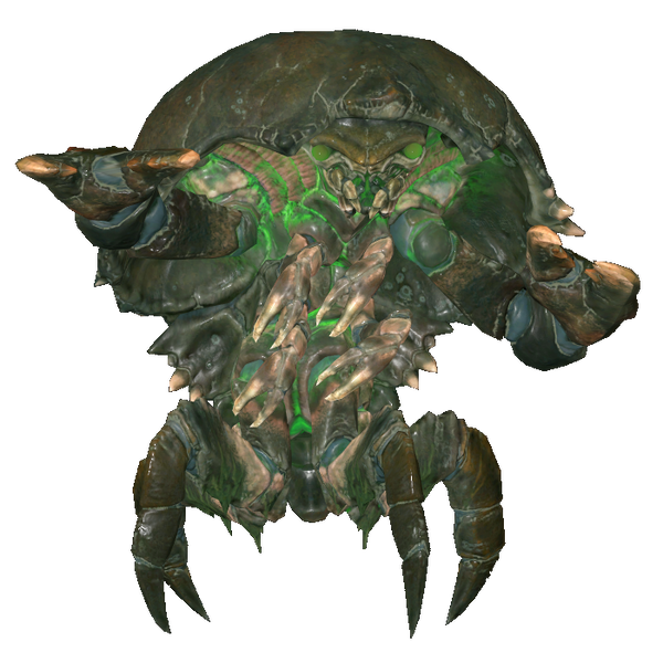 Datei:FO76 creature mirelurk glowing.webp