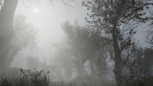 Ls cloudyfoggywoods.jpg