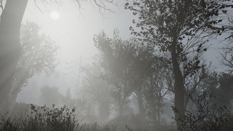 Datei:Ls cloudyfoggywoods.jpg