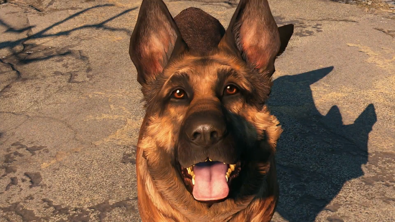 Datei:Fo4 Dogmeat E3 Outtro.png