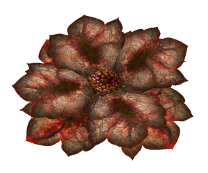 Bloodleaf.png