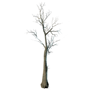 Atx camp floordecor elmtrees barren l.webp