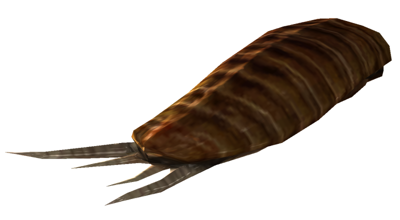 Datei:FO3 radroach meat.png