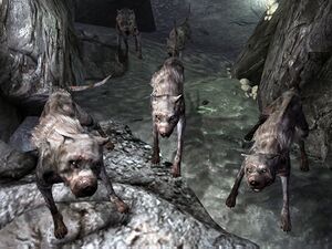 Vicious dogs Warren.jpg